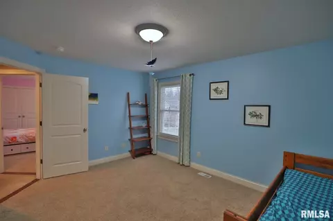 6405 W Willow Oak Ct, Edwards, IL 61528 photo 24