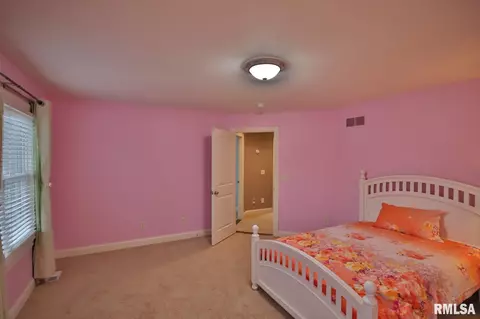 6405 W Willow Oak Ct, Edwards, IL 61528 photo 26