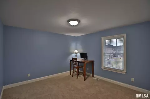 6405 W Willow Oak Ct, Edwards, IL 61528 photo 28