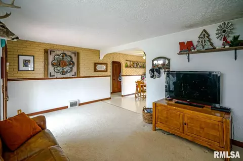 29818 E Manito Rd, Manito, IL 61546 photo 7