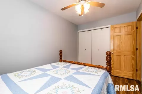 8726 Desutter Rd, Manito, IL 61546 photo 24