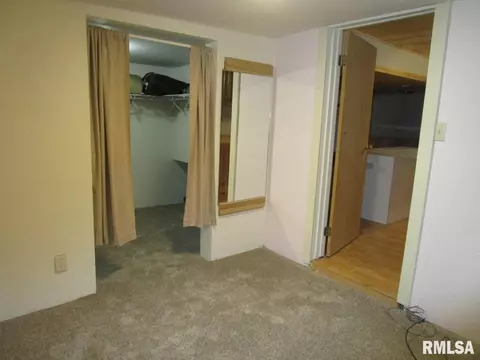 1269 E Chestnut St, Canton, IL 61520 photo 37