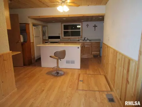 1269 E Chestnut St, Canton, IL 61520 photo 21