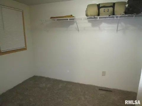 1269 E Chestnut St, Canton, IL 61520 photo 31