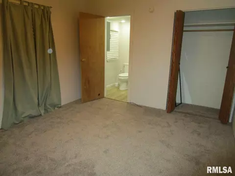 1269 E Chestnut St, Canton, IL 61520 photo 10