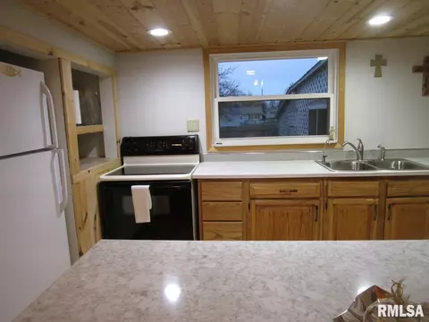 1269 E Chestnut St, Canton, IL 61520 photo 23