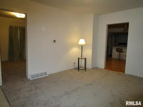 1269 E Chestnut St, Canton, IL 61520 photo 6