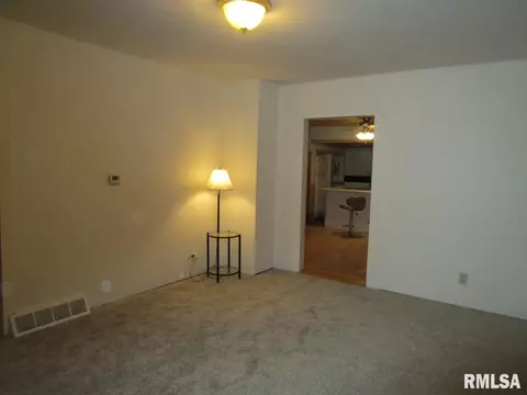 1269 E Chestnut St, Canton, IL 61520 photo 7