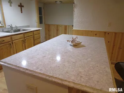 1269 E Chestnut St, Canton, IL 61520 photo 29