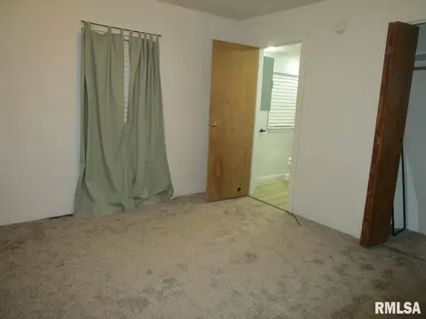 1269 E Chestnut St, Canton, IL 61520 photo 11