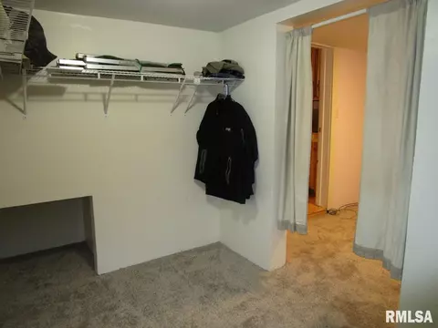 1269 E Chestnut St, Canton, IL 61520 photo 32