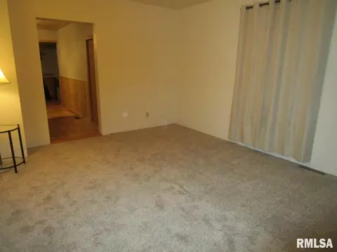 1269 E Chestnut St, Canton, IL 61520 photo 9