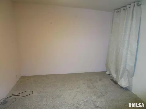 1269 E Chestnut St, Canton, IL 61520 photo 36