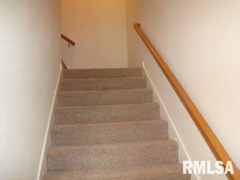 5529 E Knox St, Chillicothe, IL 61523 photo 22