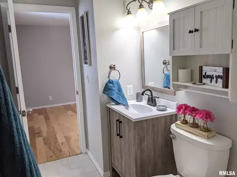 409 Radisson Rd, Marquette Heights, IL 61554 photo 30