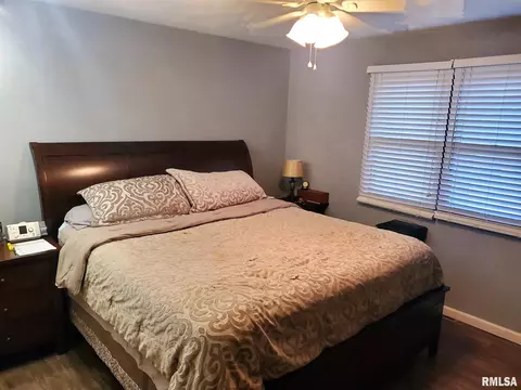 318 E Pine St, Metamora, IL 61548 photo 21