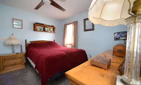 204 S Elm St, Delavan, IL 61734 photo 15