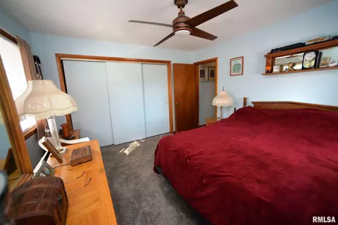 204 S Elm St, Delavan, IL 61734 photo 16