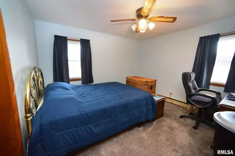 204 S Elm St, Delavan, IL 61734 photo 17
