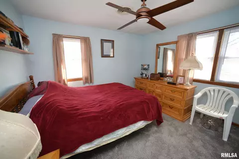 204 S Elm St, Delavan, IL 61734 photo 14