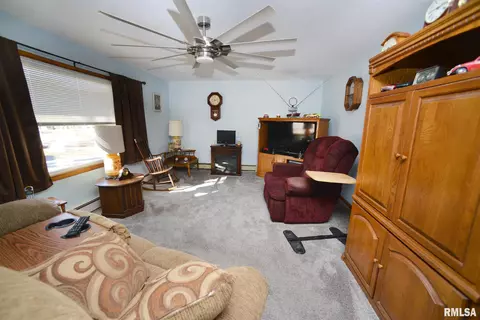 204 S Elm St, Delavan, IL 61734 photo 2