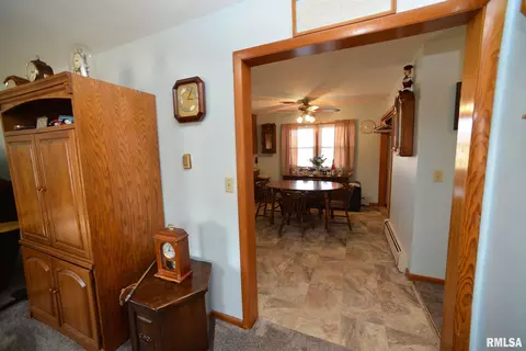 204 S Elm St, Delavan, IL 61734 photo 7