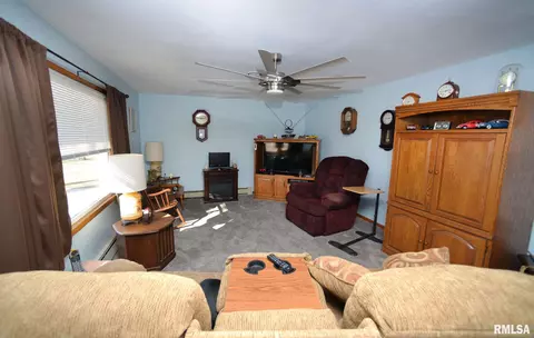 204 S Elm St, Delavan, IL 61734 photo 6