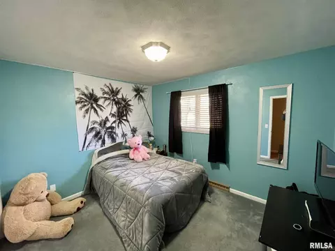 707 S Hilldale Ave, Eureka, IL 61530 photo 18