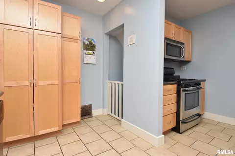 1007 E Willcox Ave, Peoria, IL 61603 photo 30