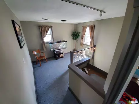 1206 E Willcox Ave, Peoria, IL 61603 photo 18