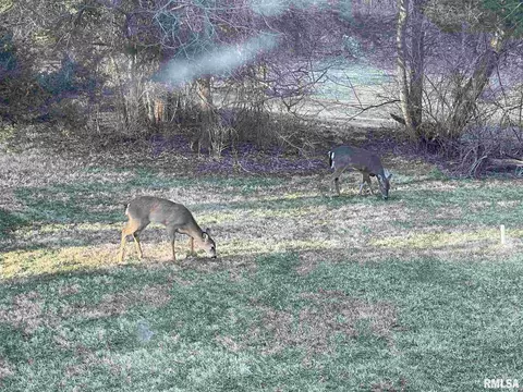 1527 Deer Path Rd, Metamora, IL 61548 photo 47