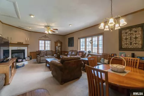 412 E 8th St, Delavan, IL 61734 photo 4