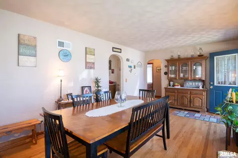232 E Sheridan St, Manito, IL 61546 photo 25