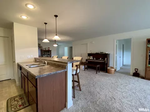 313 Scotch Pine Dr, Macomb, IL 61455 photo 10