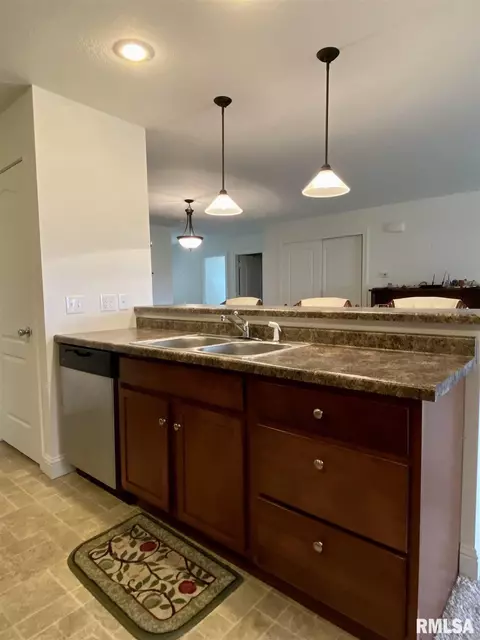 313 Scotch Pine Dr, Macomb, IL 61455 photo 9