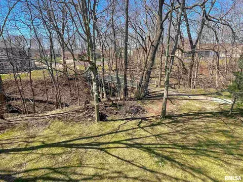 3631 Eagle Bend Bnd, Pekin, IL 61554 photo 41