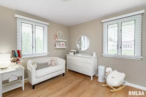 921 Emerson St, Morton, IL 61550 photo 23