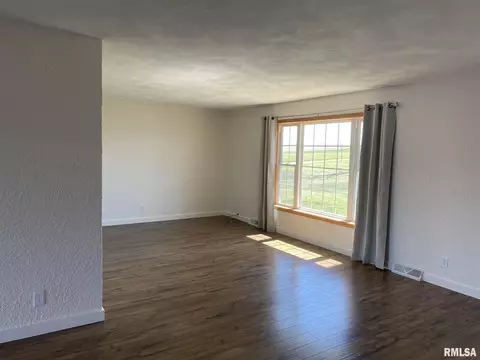 924 Banta Rd, Lowpoint, IL 61545 photo 3