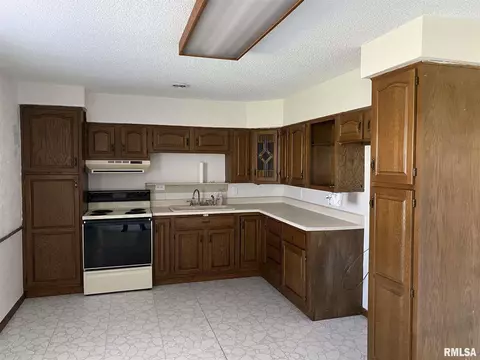 924 Banta Rd, Lowpoint, IL 61545 photo 14