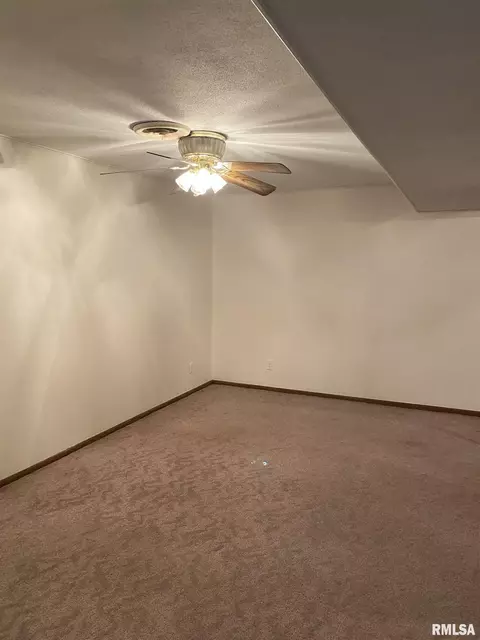 924 Banta Rd, Lowpoint, IL 61545 photo 11