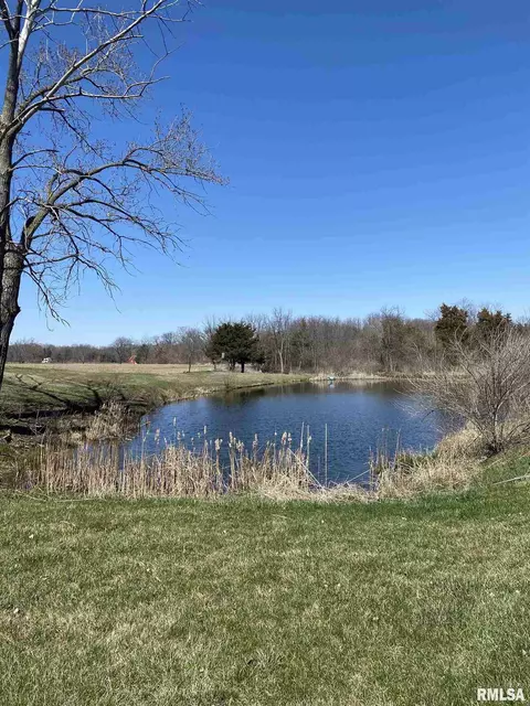 924 Banta Rd, Lowpoint, IL 61545 photo 23