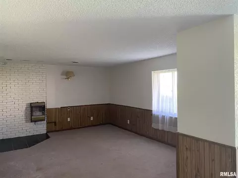 924 Banta Rd, Lowpoint, IL 61545 photo 9