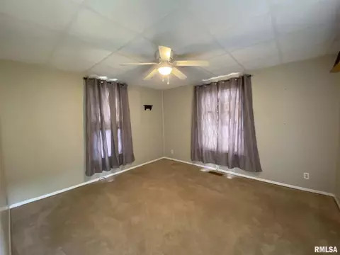 250 E Birch St, Canton, IL 61520 photo 23