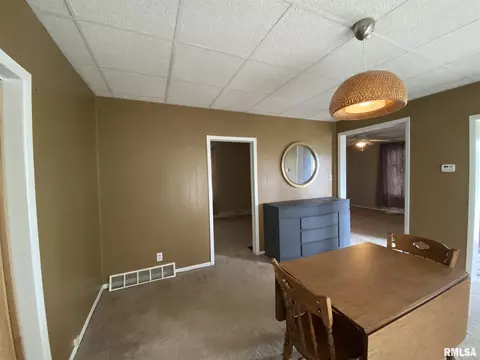 250 E Birch St, Canton, IL 61520 photo 21