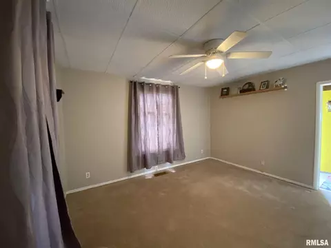 250 E Birch St, Canton, IL 61520 photo 24