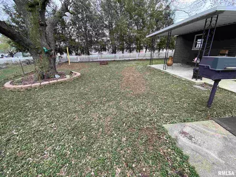 250 E Birch St, Canton, IL 61520 photo 8