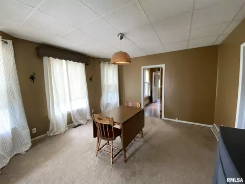 250 E Birch St, Canton, IL 61520 photo 22