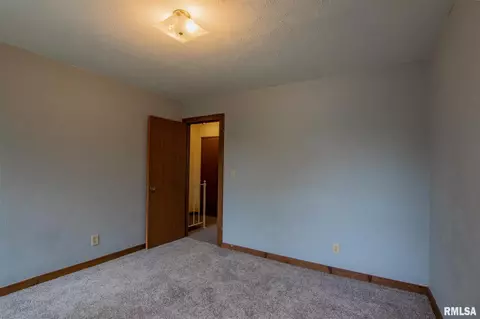 4304 W Lora Ann Ln, Peoria, IL 61615 photo 17