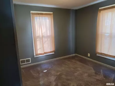 125 E Beech St, Canton, IL 61520 photo 13