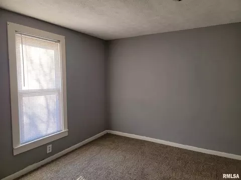 125 E Beech St, Canton, IL 61520 photo 14